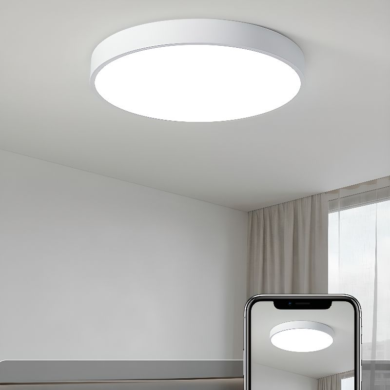 Circular Flush Mount LED Ceiling Lights NALANI