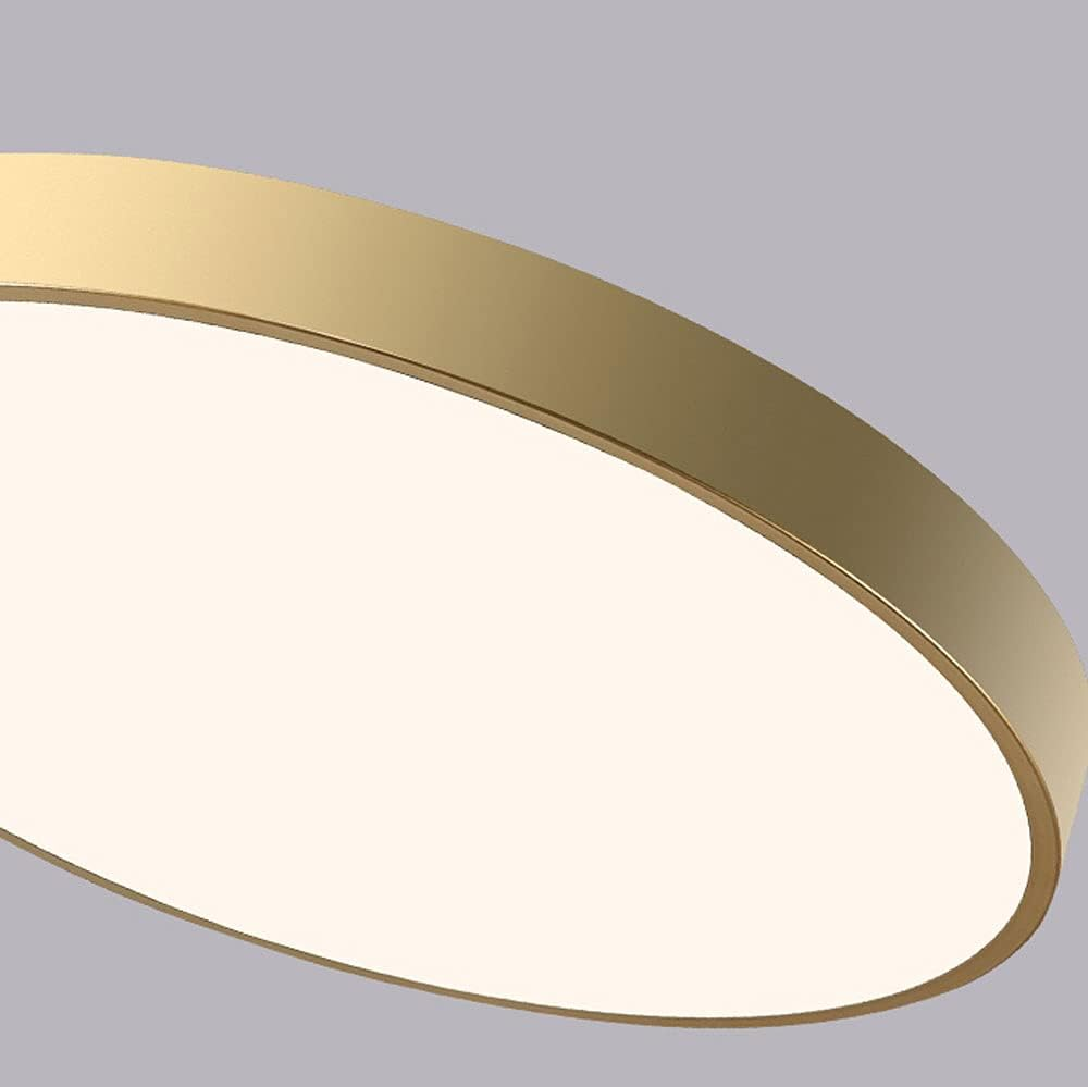 Circular Flush Mount LED Ceiling Lights NALANI
