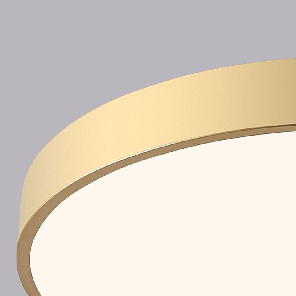Circular Flush Mount LED Ceiling Lights NALANI