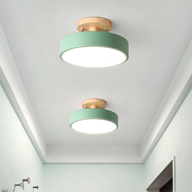 Colorful Semi-flush LED Ceiling Lights for Modern Spaces Green D18*H10CM NALANI