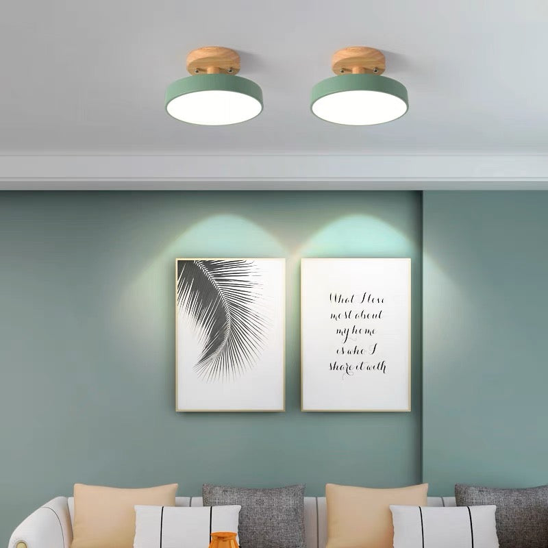 Colorful Semi-flush LED Ceiling Lights for Modern Spaces Green D18*H10CM NALANI