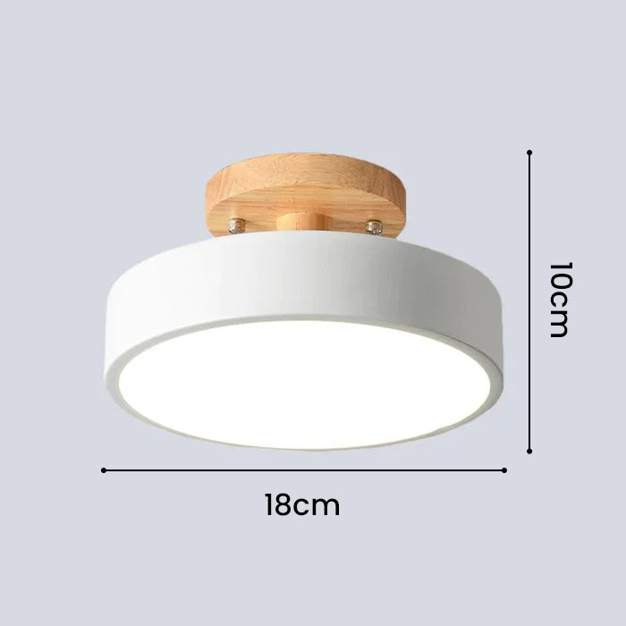 Colorful Semi-flush LED Ceiling Lights for Modern Spaces NALANI