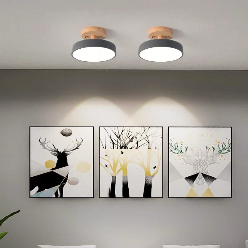 Colorful Semi-flush LED Ceiling Lights for Modern Spaces NALANI