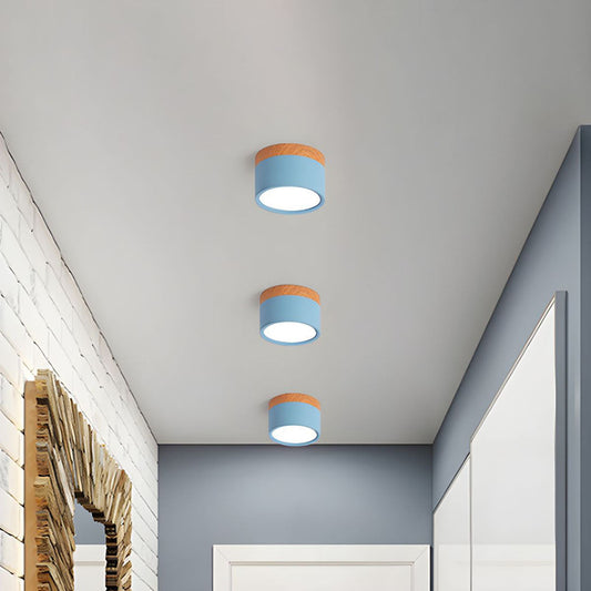 Cylinder Small Flush Ceiling Lights for Modern Home Decor NALANI