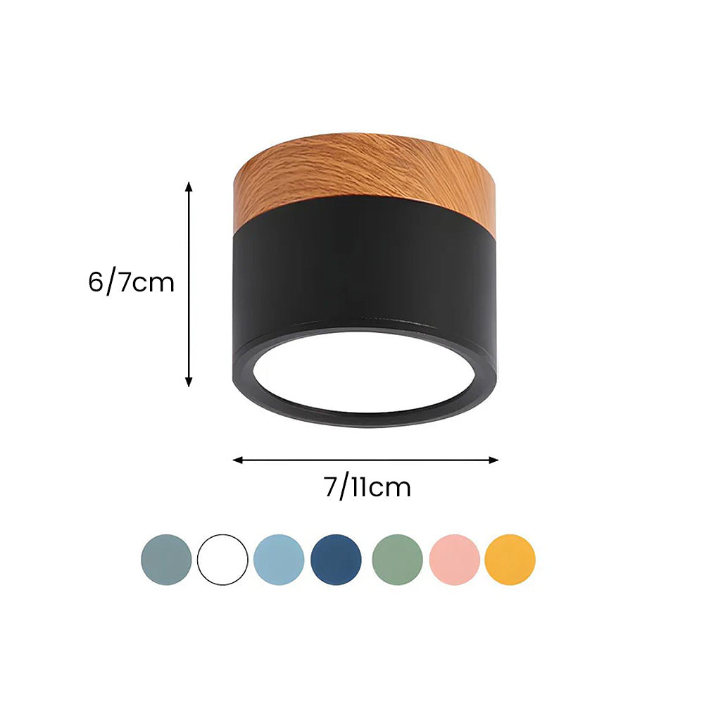 Cylinder Small Flush Ceiling Lights for Modern Home Decor NALANI