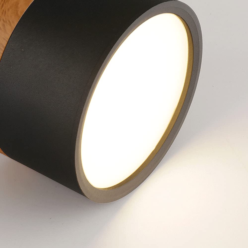 Cylinder Small Flush Ceiling Lights for Modern Home Decor NALANI
