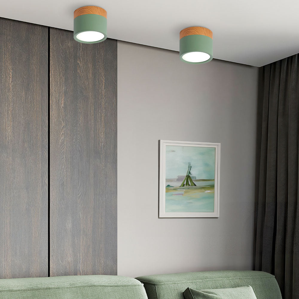 Cylinder Small Flush Ceiling Lights for Modern Home Decor NALANI