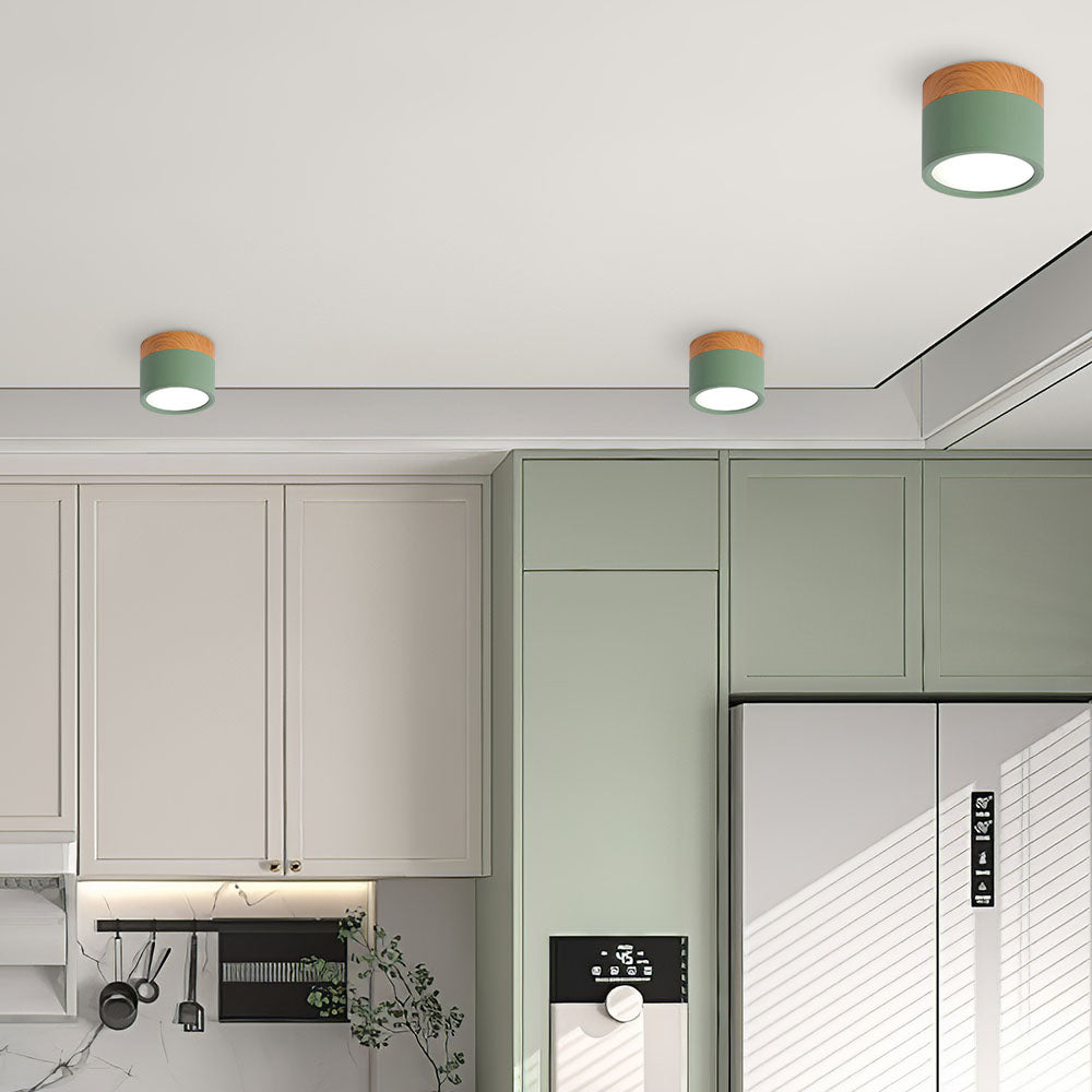 Cylinder Small Flush Ceiling Lights for Modern Home Decor NALANI