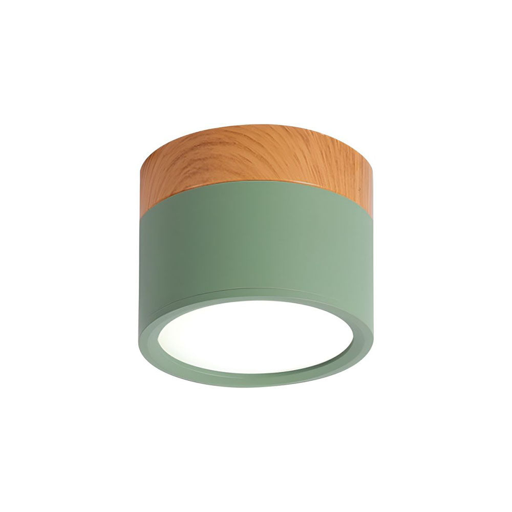 Cylinder Small Flush Ceiling Lights for Modern Home Decor NALANI