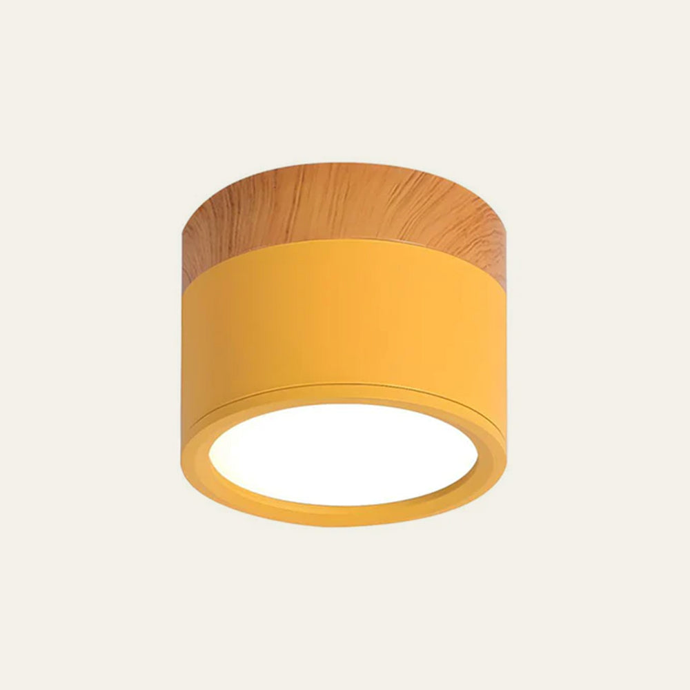 Cylinder Small Flush Ceiling Lights for Modern Home Decor NALANI