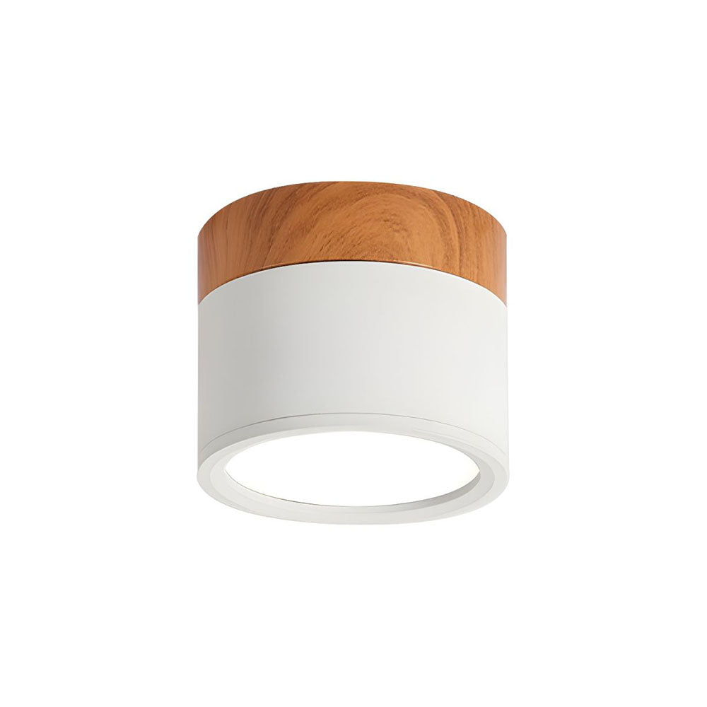 Cylinder Small Flush Ceiling Lights for Modern Home Decor NALANI