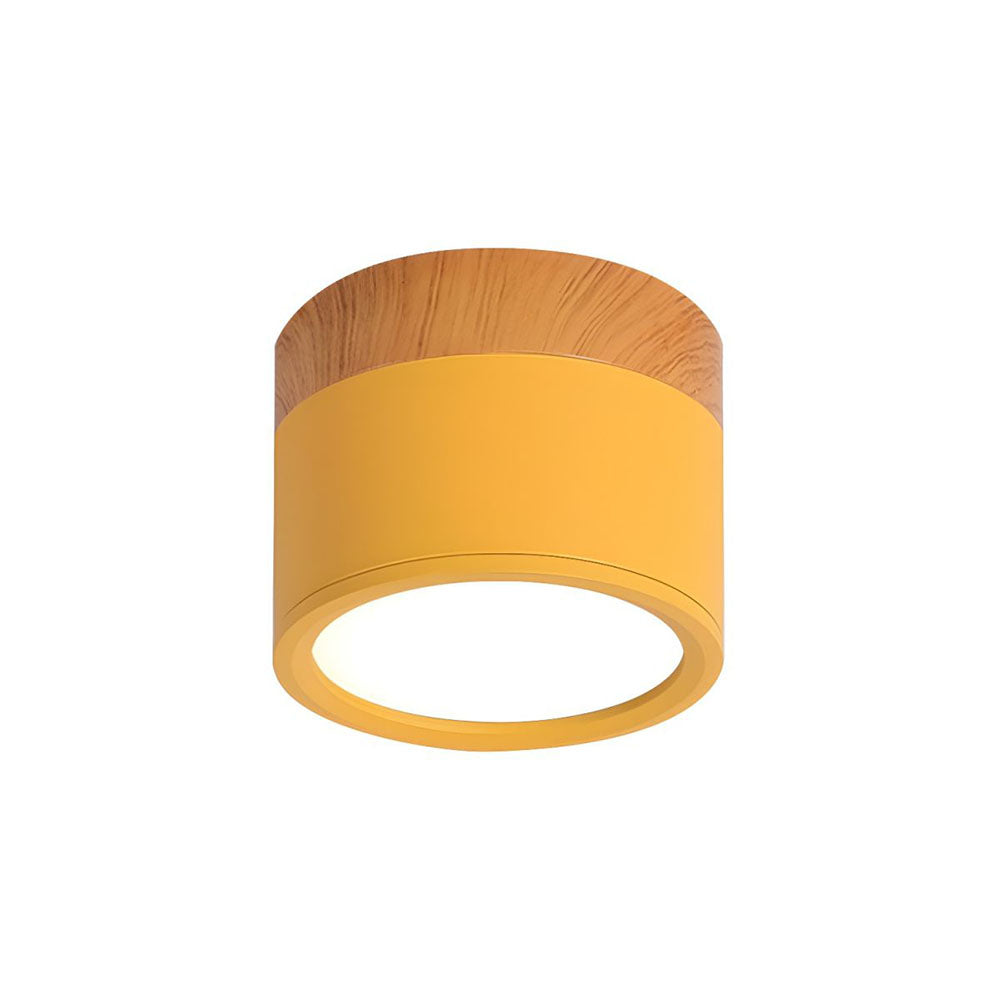 Cylinder Small Flush Ceiling Lights for Modern Home Decor NALANI