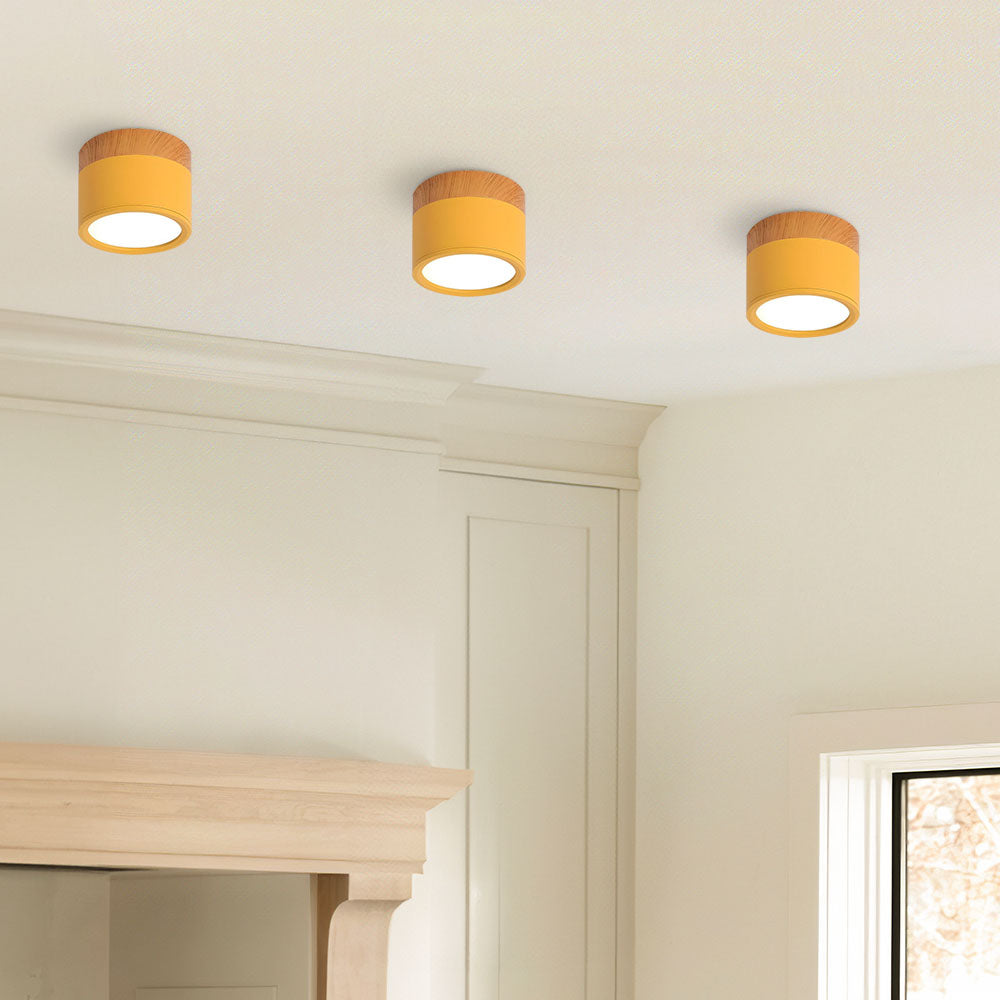 Cylinder Small Flush Ceiling Lights for Modern Home Decor NALANI