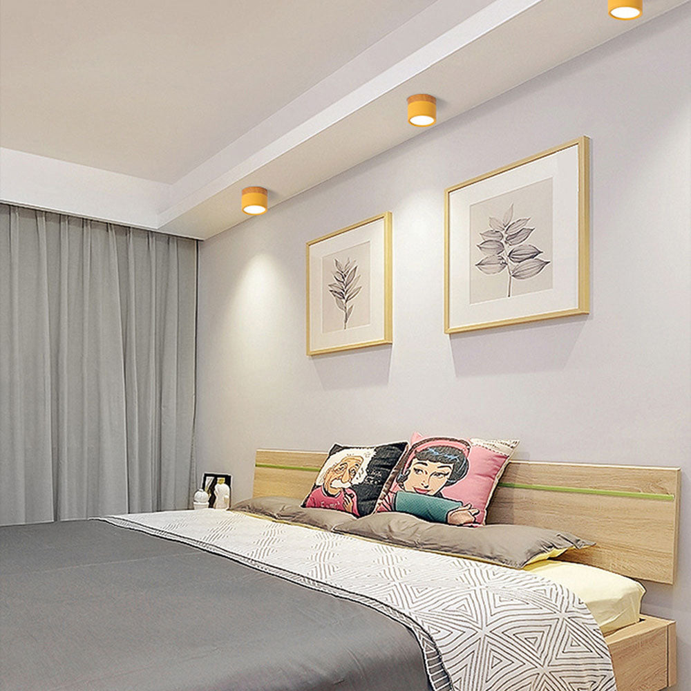 Cylinder Small Flush Ceiling Lights for Modern Home Decor NALANI