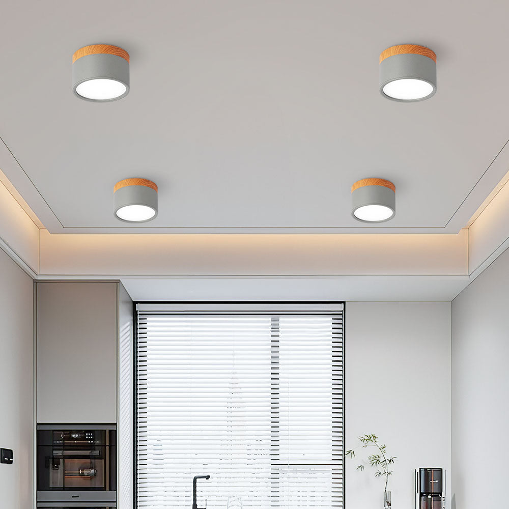 Cylinder Small Flush Ceiling Lights for Modern Home Decor NALANI