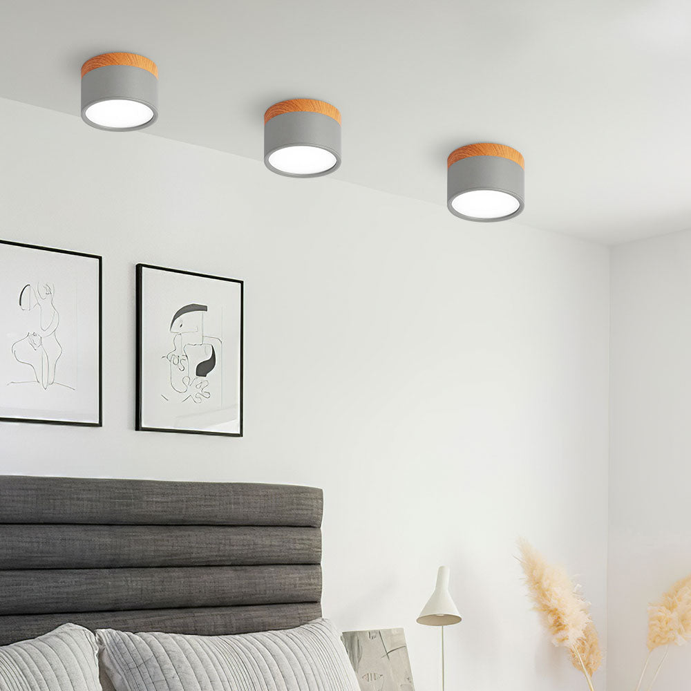 Cylinder Small Flush Ceiling Lights for Modern Home Decor NALANI