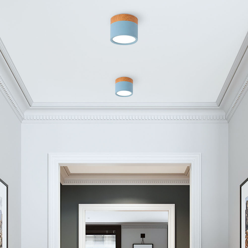 Cylinder Small Flush Ceiling Lights for Modern Home Decor NALANI