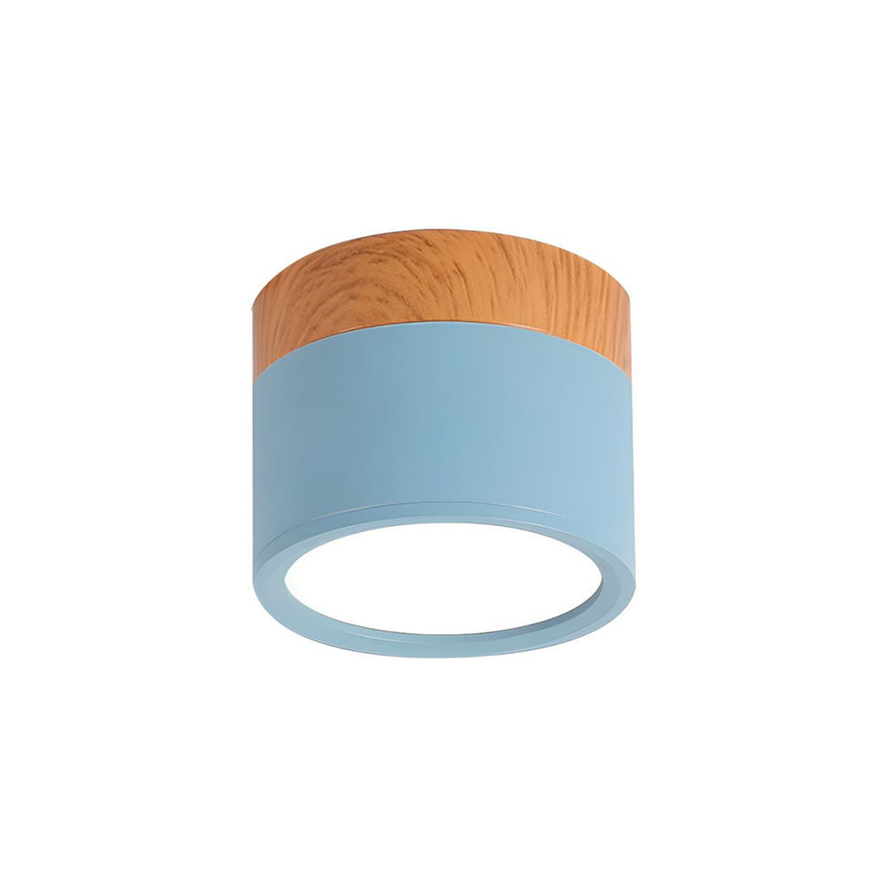 Cylinder Small Flush Ceiling Lights for Modern Home Decor NALANI