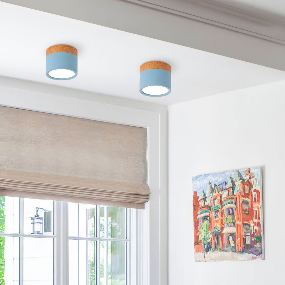 Cylinder Small Flush Ceiling Lights for Modern Home Decor NALANI