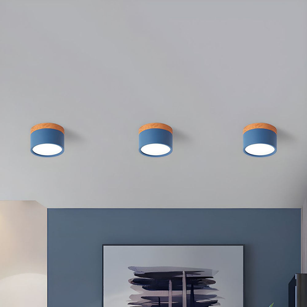 Cylinder Small Flush Ceiling Lights for Modern Home Decor NALANI