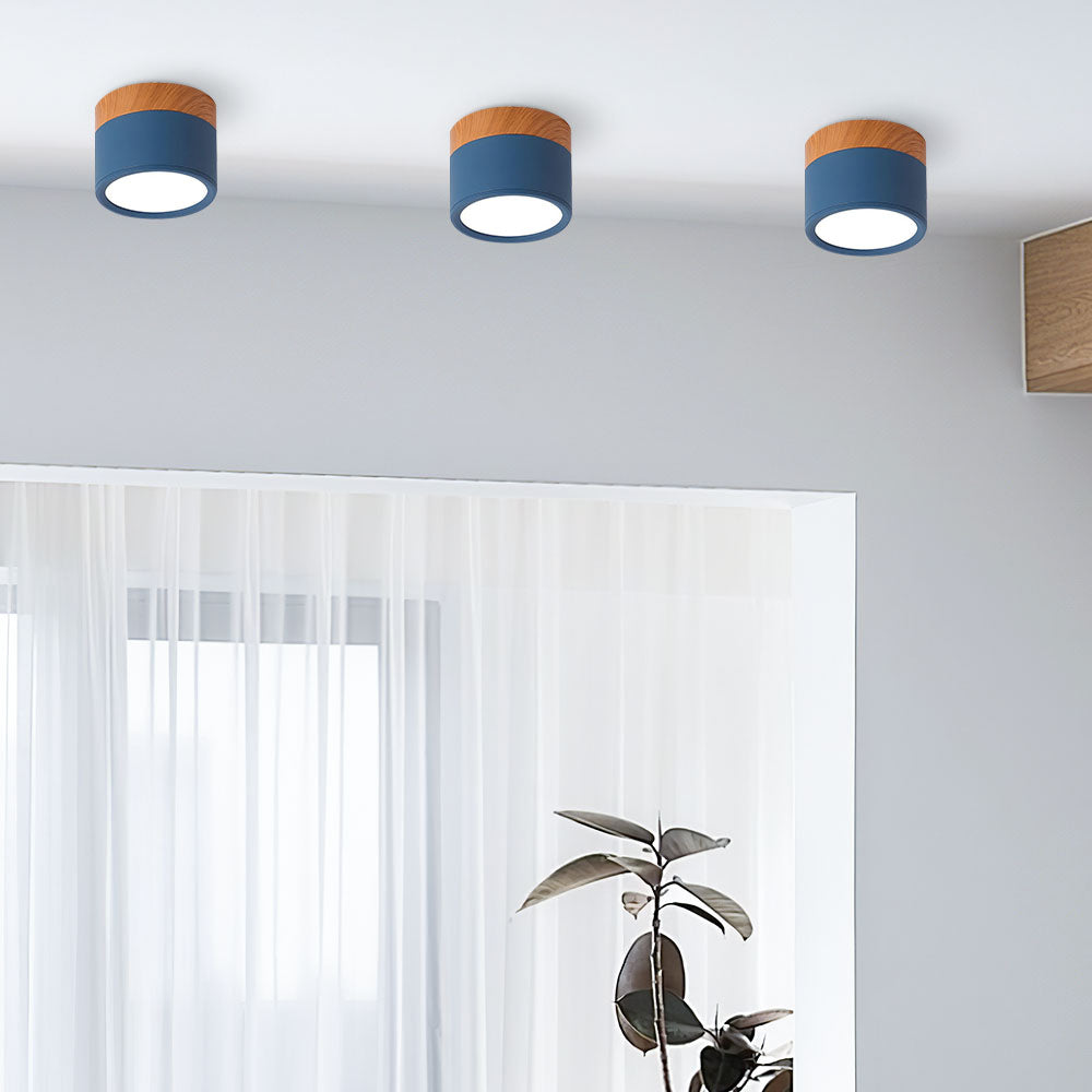 Cylinder Small Flush Ceiling Lights for Modern Home Decor NALANI