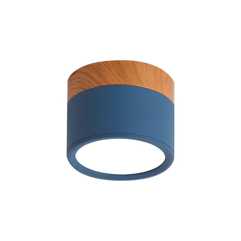 Cylinder Small Flush Ceiling Lights for Modern Home Decor NALANI