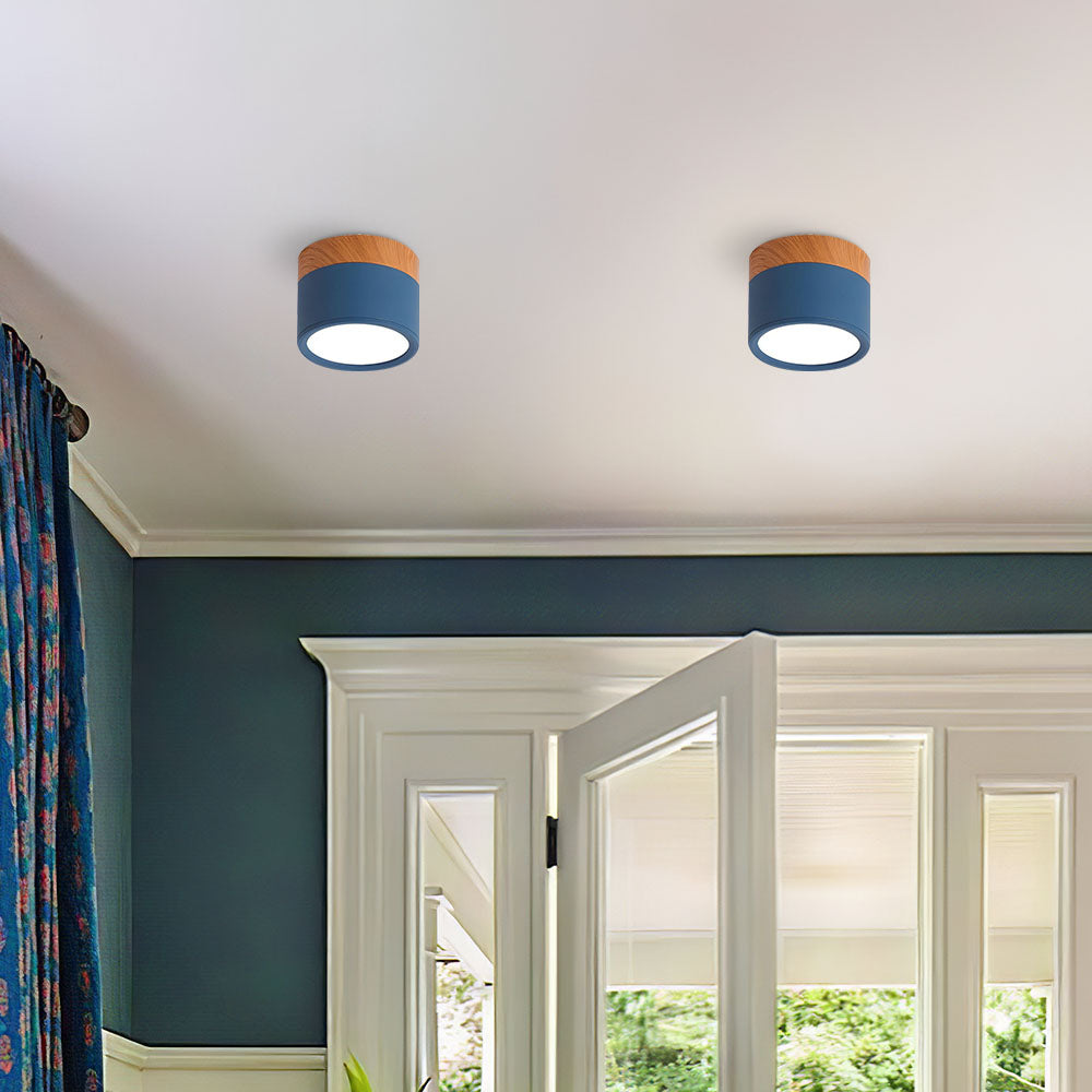 Cylinder Small Flush Ceiling Lights for Modern Home Decor NALANI