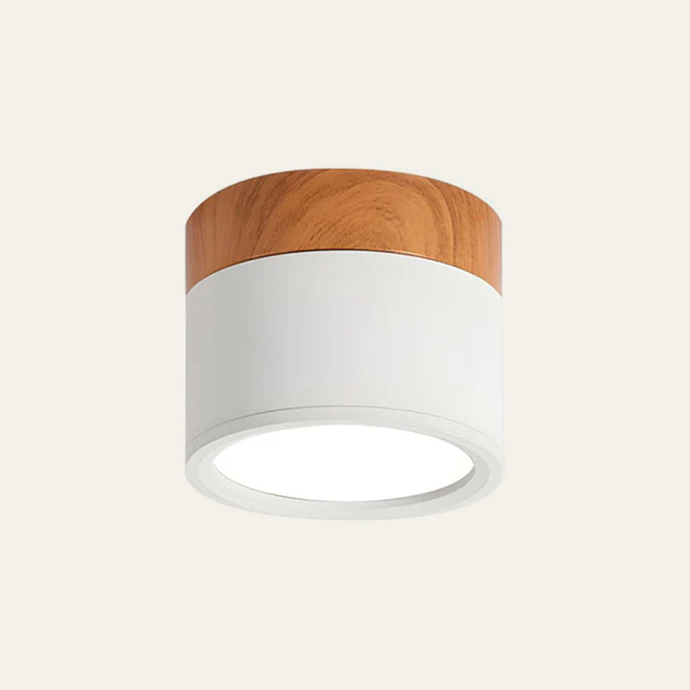 Cylinder Small Flush Ceiling Lights for Modern Home Decor White D11cm*H7cm-7W NALANI