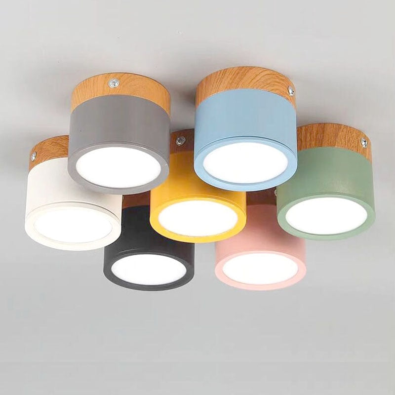 Cylinder Small Flush Ceiling Lights for Modern Home Decor NALANI