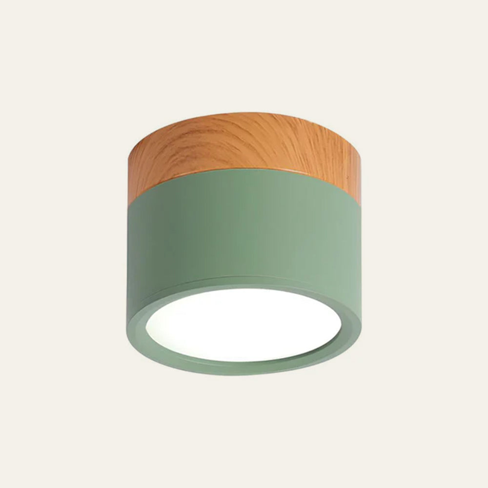 Cylinder Small Flush Ceiling Lights for Modern Home Decor Green NALANI