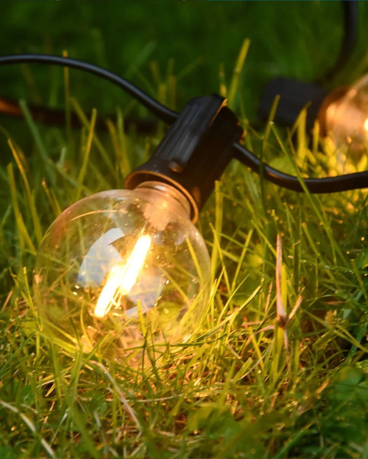 Waterproof LED fairy lights for garden and veranda 150m 22 meters - 75 lamps NALANI