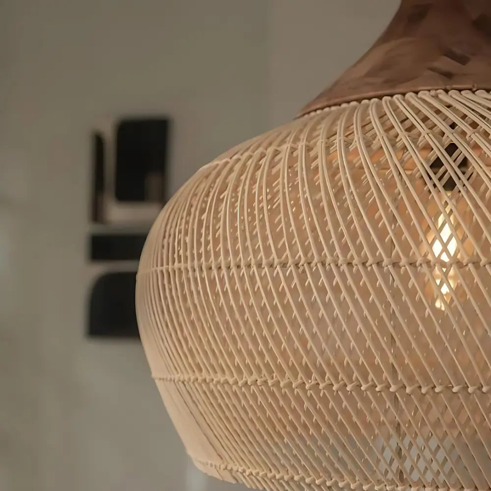 Boho Wicker Hanging Lamp for Cozy Home Decor NaLani