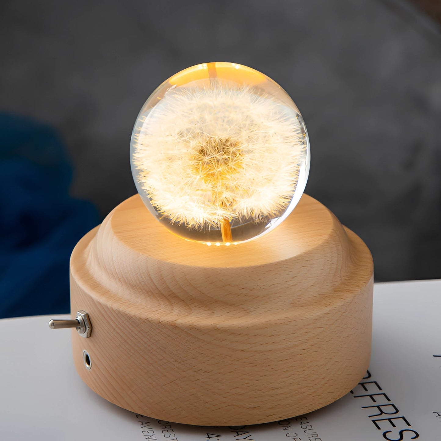 Dandelion Resin Lamp With LED Wooden Base Night Light Paardenbloem Round B NALANI