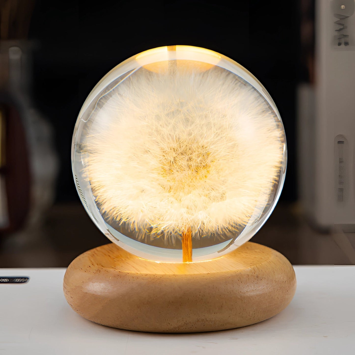 Dandelion Resin Lamp With LED Wooden Base Night Light Paardenbloem Round D NALANI