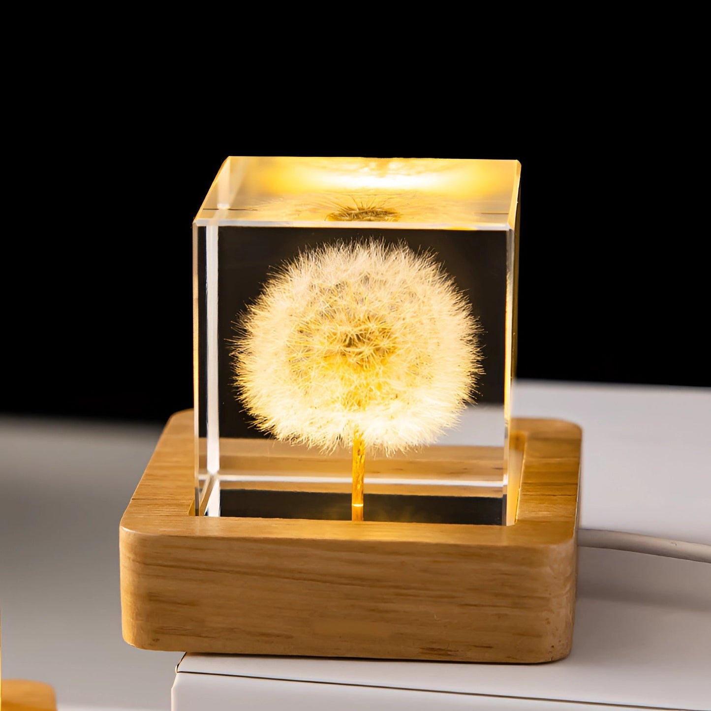 Dandelion Resin Lamp With LED Wooden Base Night Light Paardenbloem Square NALANI