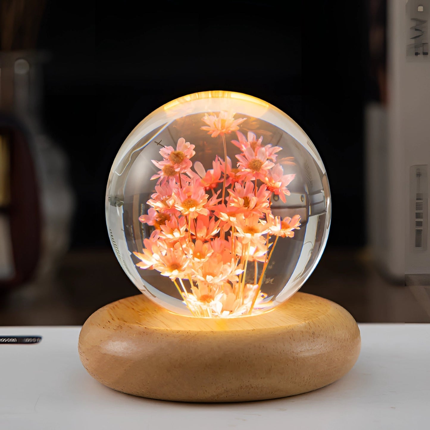 Dandelion Resin Lamp With LED Wooden Base Night Light Rode Margriet Round B NALANI