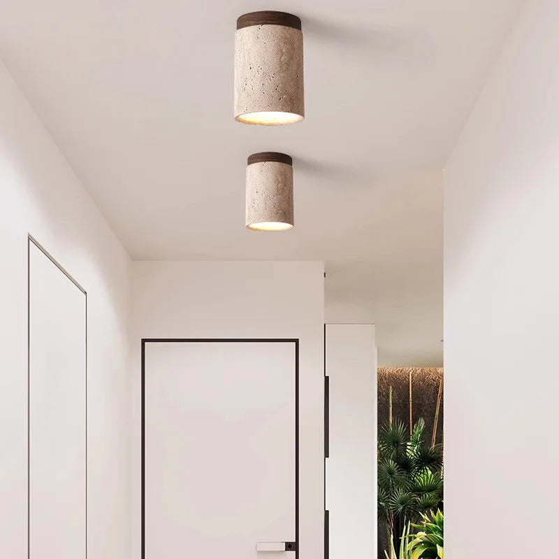 Elegant Ceiling Lamp for Stairwell and Hallway Illumination NaLani
