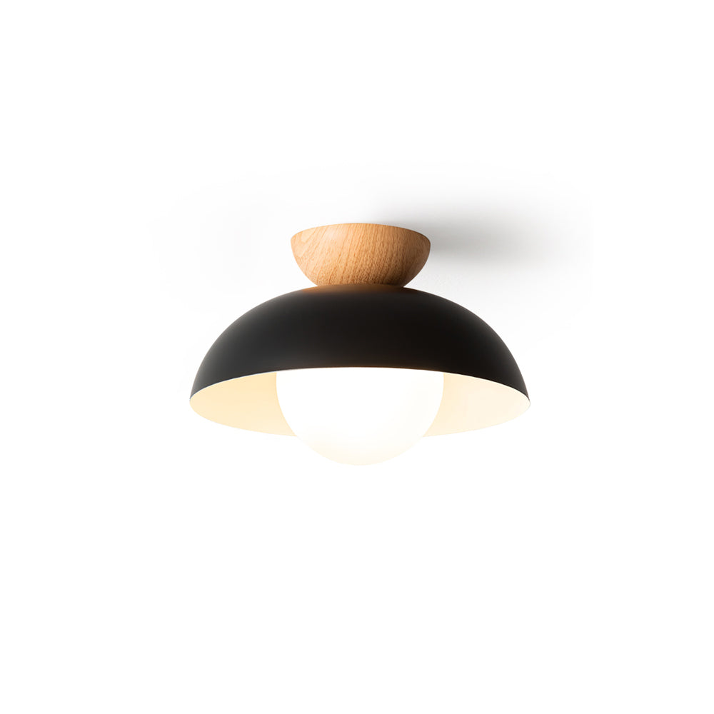 Energy Efficient Ceiling Lamp With Warm Ambient Light NALANI