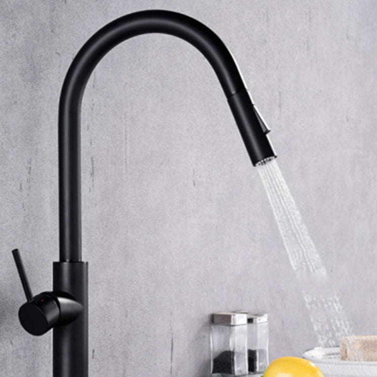 Gooseneck Copper Kitchen Faucet Single Handle Hot Cold NALANI