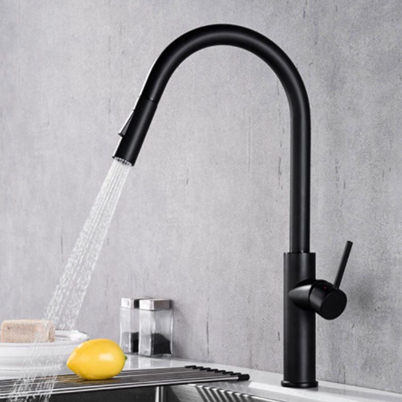 Gooseneck Copper Kitchen Faucet Single Handle Hot Cold NALANI