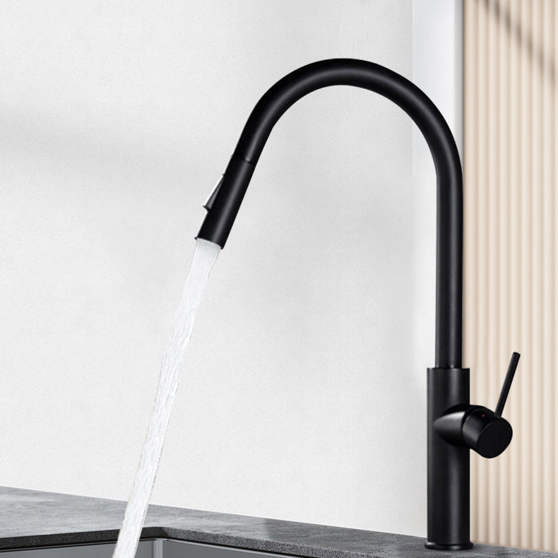 Gooseneck Copper Kitchen Faucet Single Handle Hot Cold NALANI