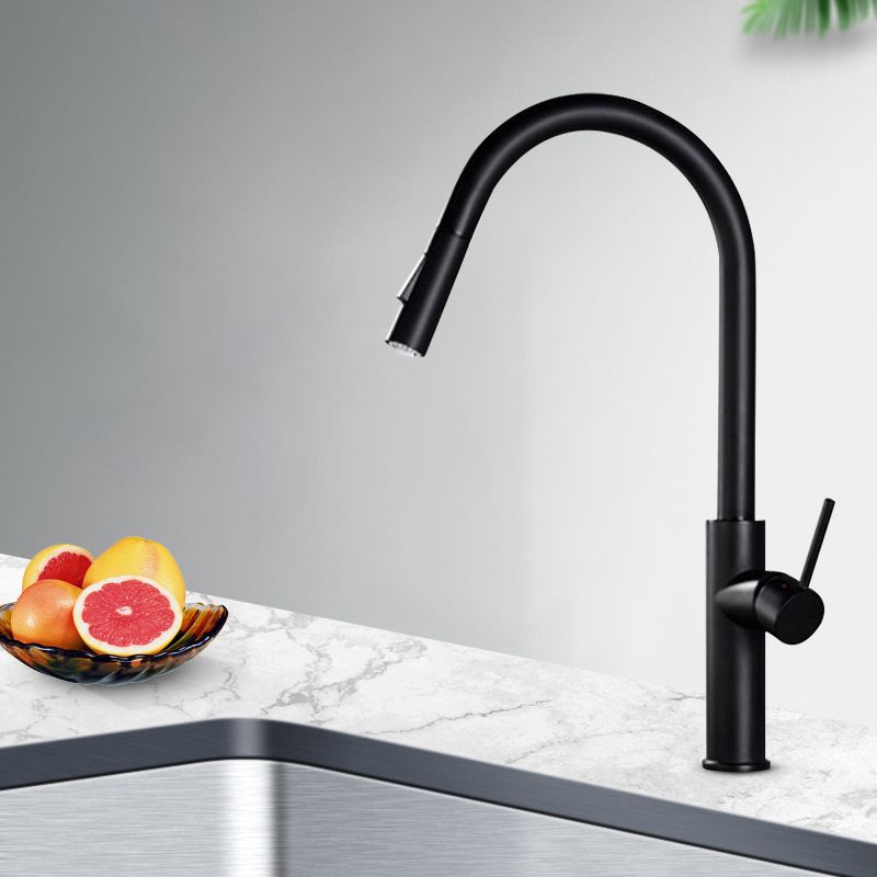 Gooseneck Copper Kitchen Faucet Single Handle Hot Cold NALANI