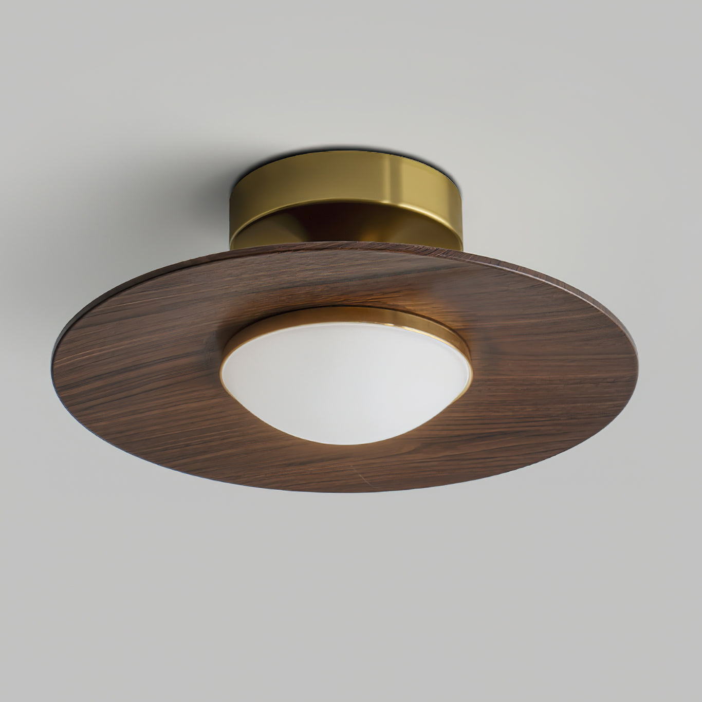 Modern Ceiling Lamp With Wood Textured Accent Metal Frame NALANI