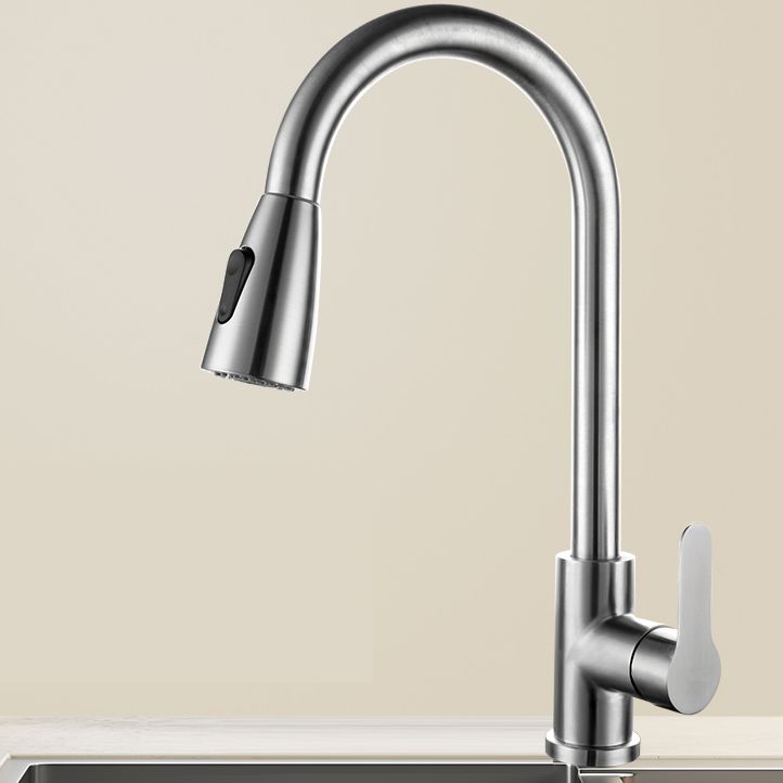 Modern Stainless Steel Kitchen Faucet Dual and Tri Mode NALANI