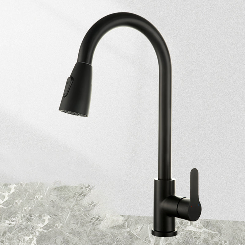 Modern Stainless Steel Kitchen Faucet Dual and Tri Mode Black Dual Mode Supply Lines Included NALANI