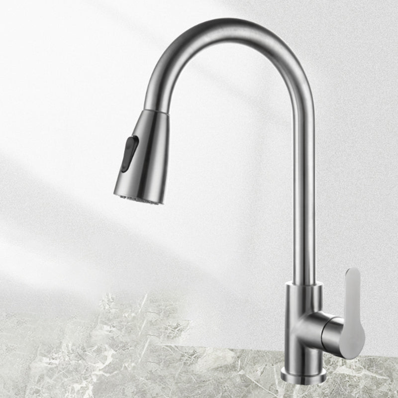 Modern Stainless Steel Kitchen Faucet Dual and Tri Mode Nickel Dual Mode NALANI