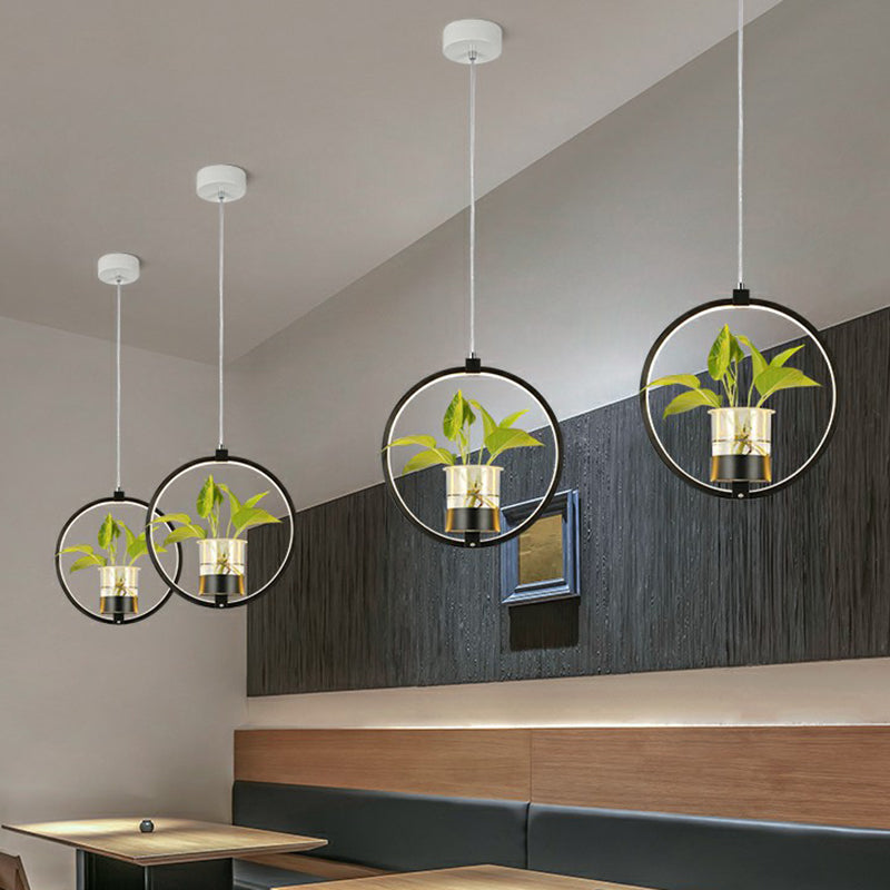 Nordic Circular LED Ceiling Pendant Light For Dining Room NALANI