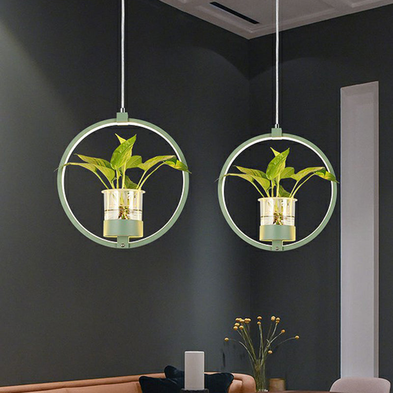 Nordic Circular LED Ceiling Pendant Light For Dining Room NALANI
