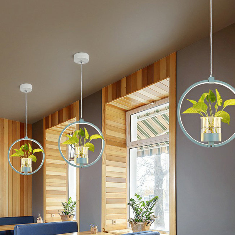 Nordic Circular LED Ceiling Pendant Light For Dining Room NALANI