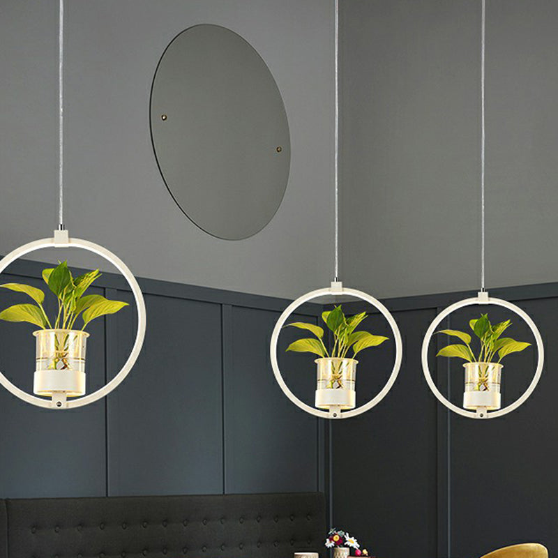 Nordic Circular LED Ceiling Pendant Light For Dining Room NALANI
